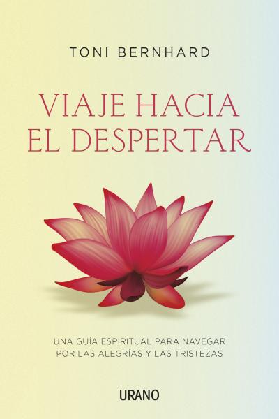 Descargar VIAJE HACIA EL DESPERTAR