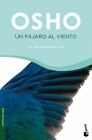 Descargar UN PAJARO AL VIENTO