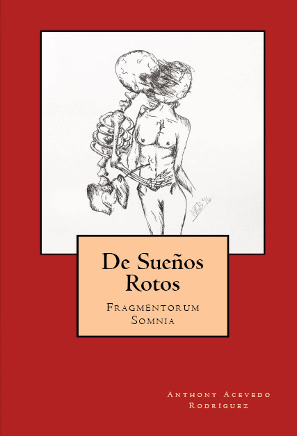 Descargar DE SUEÑOS ROTOS