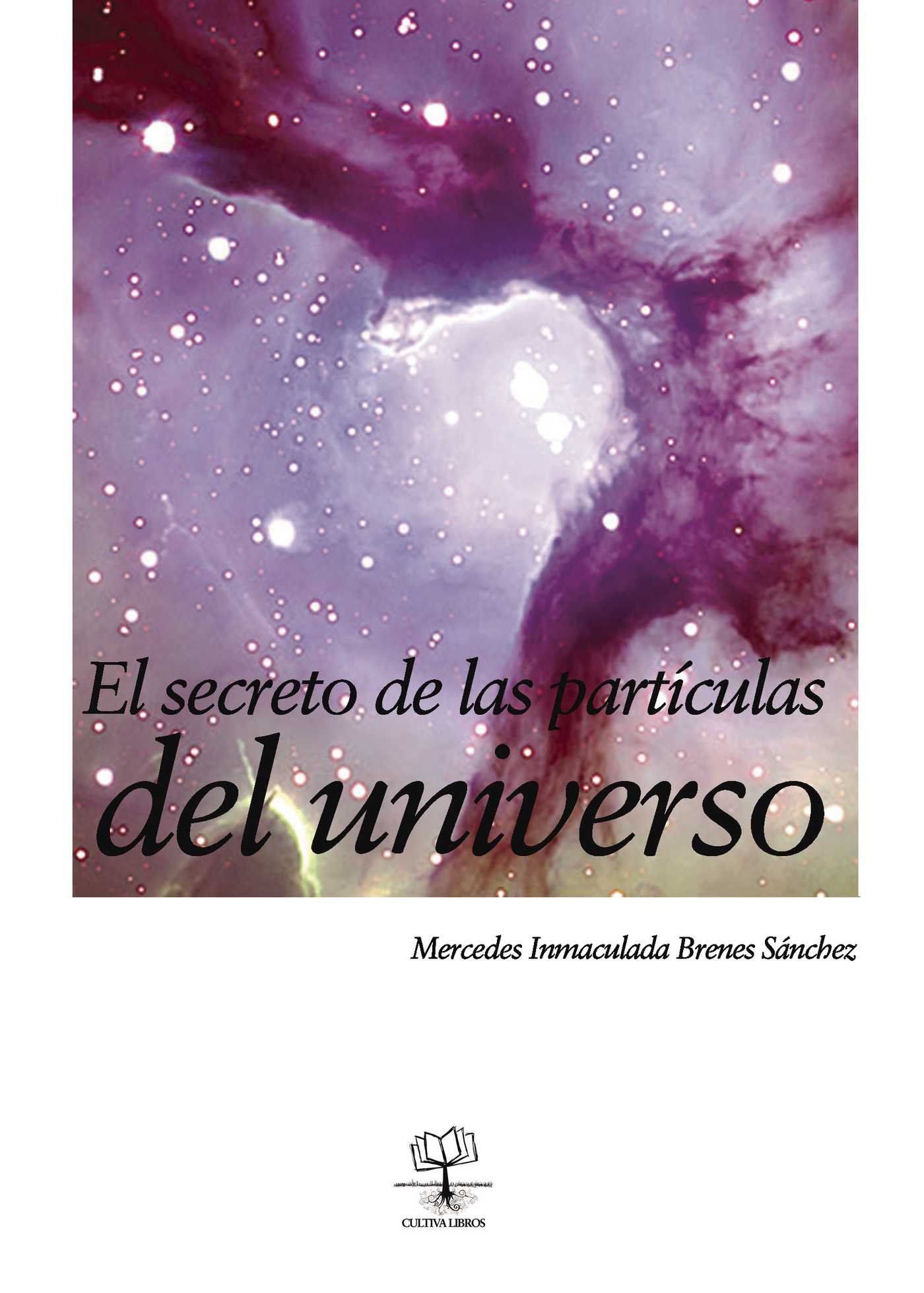 Descargar EL SECRETO DE LAS PARTICULAS DEL UNIVERSO