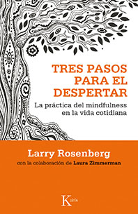 Descargar TRES PASOS PARA EL DESPERTAR  LA PRACTICA DEL MINDFULNESS EN LA VIDA COTIDIANA