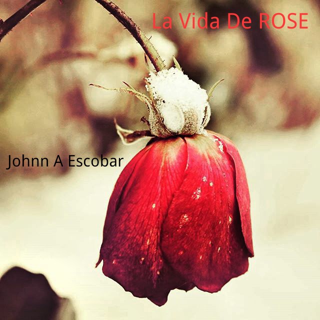 Descargar LA VIDA DE ROSE